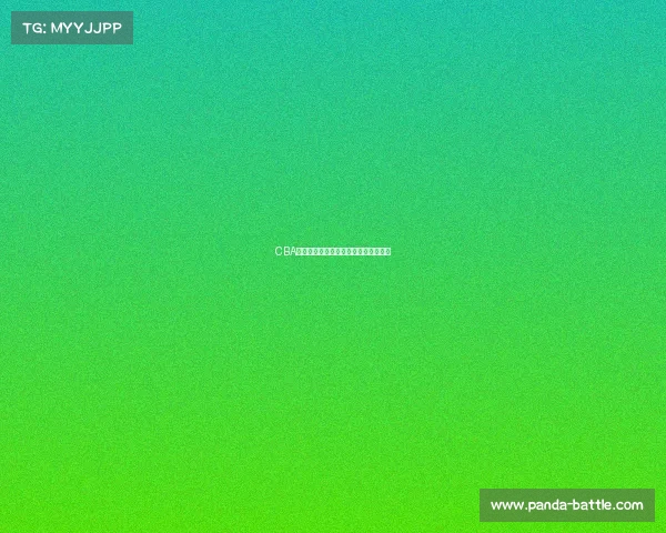 CBA焦点对决：老将带领新生力量反击强敌